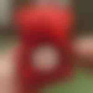 Naszyjnik koniczyna 2 w 1 i pudełko na biżuterię z obrotowym misiem | CLOVERIE_ROSBEAR